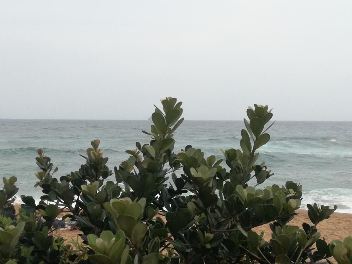 North Beach Road อัมโลทิ ภายนอก รูปภาพ